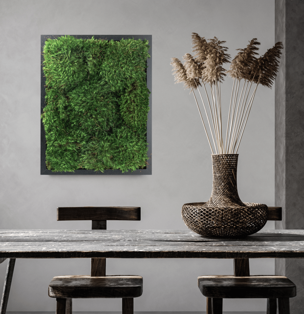 Moss Art Real Preserved Moss Wall Art Moss Home Decor Real -  in 2023