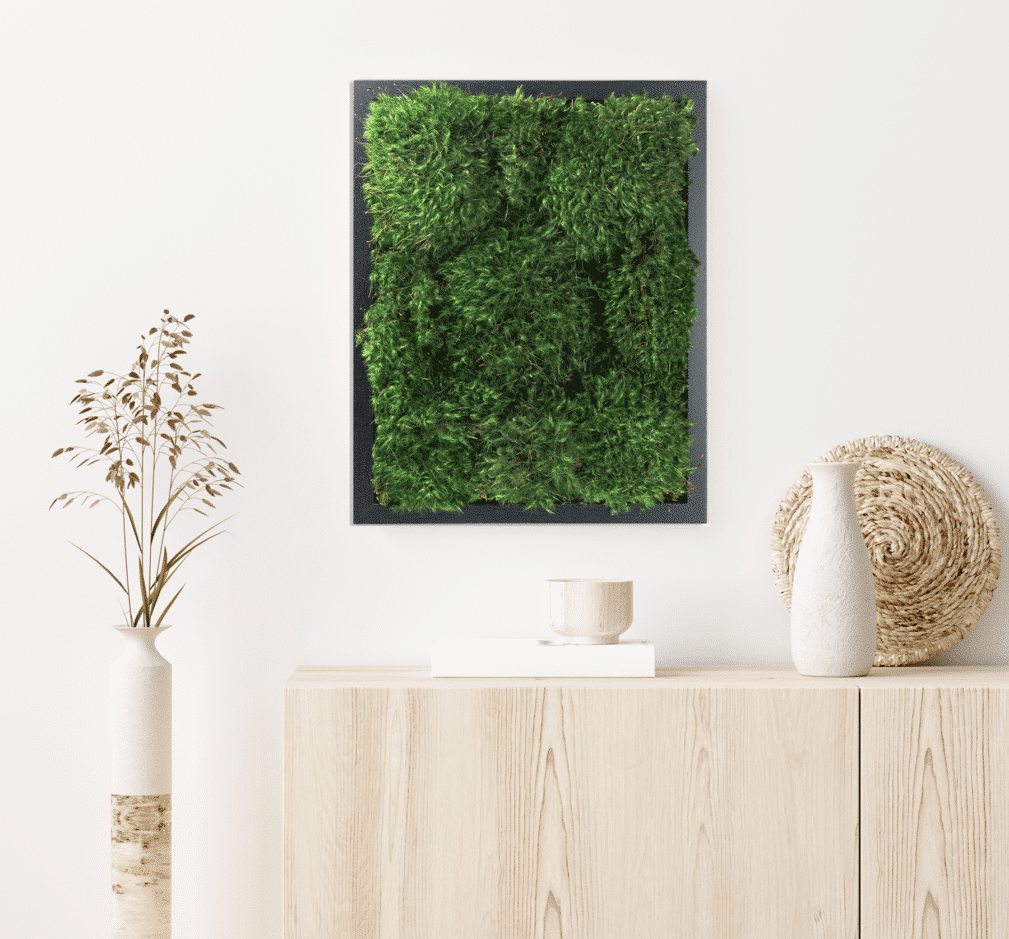 Build Your Live Moss Wall Art