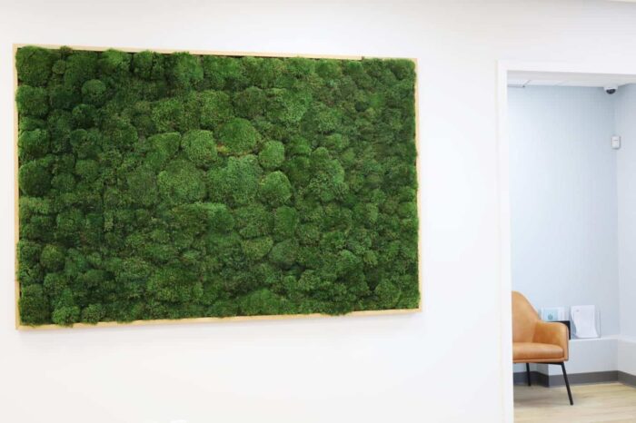 Moss Pure Moss Air Filter. Living moss wall art that improves air quality and provides therapeutic relief from stress and anxiety. Moss wall art in home.