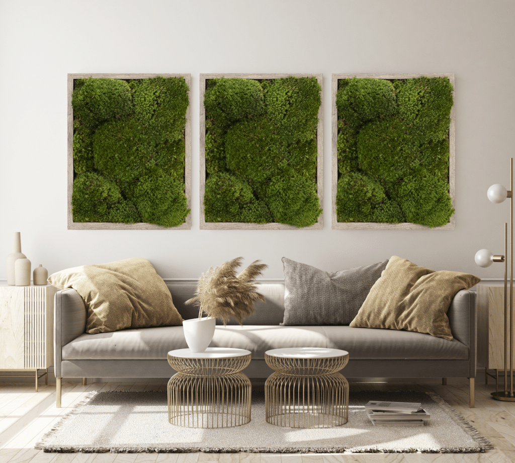 Live Mood Moss/ Choose Your Size/ Healthy Green Moss For Terrarium