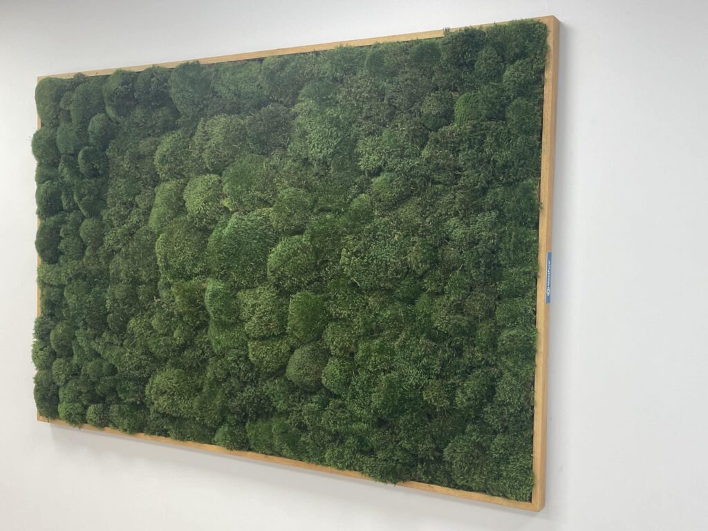 Moss Pure Moss Air Filter. Living moss wall art that improves air quality and provides therapeutic relief from stress and anxiety. Moss wall art in home.