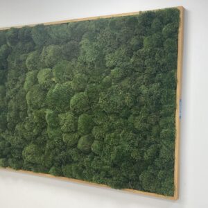 Living Moss Soundproofing Sound capturing panel biophilic design