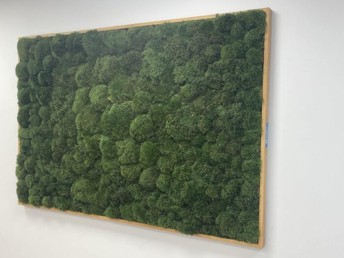 Living Moss Soundproofing Sound capturing panel biophilic design