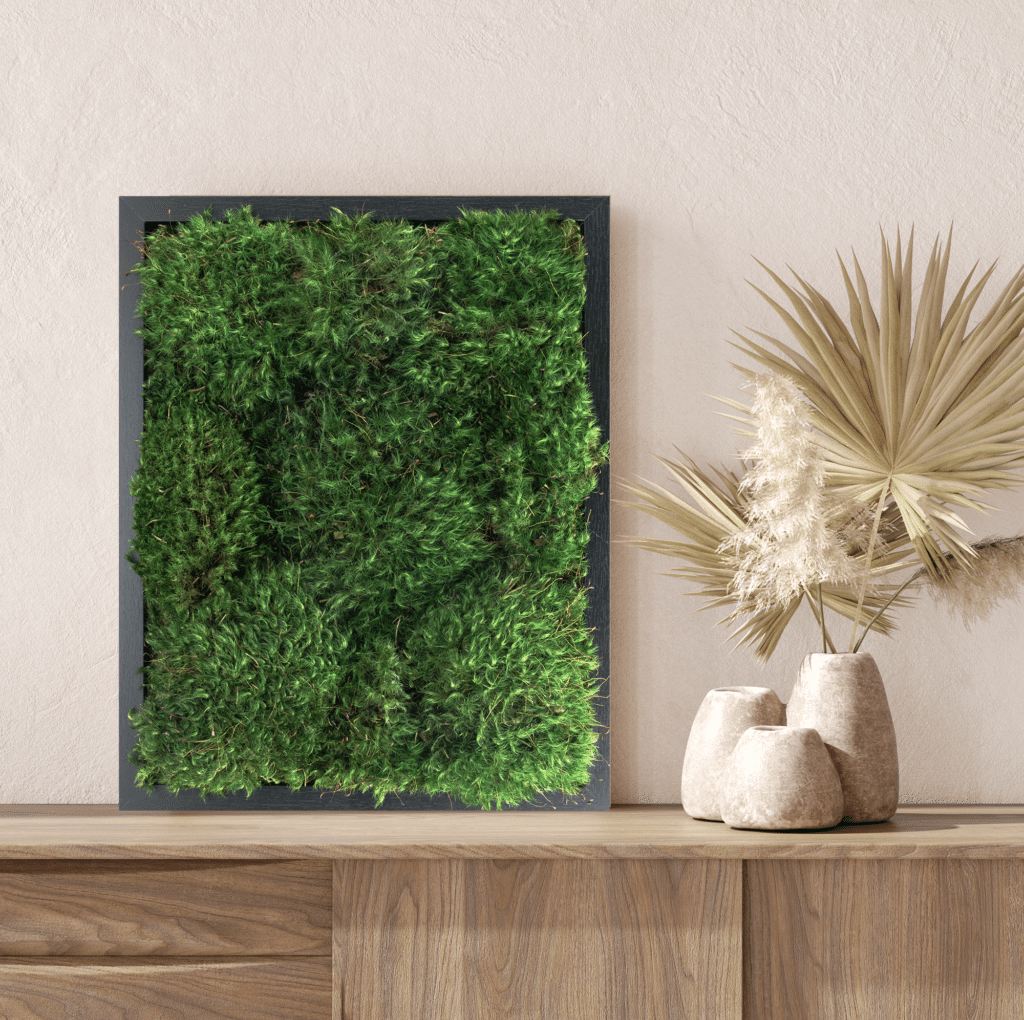 Build Your Live Moss Frame (Smaller sizes)