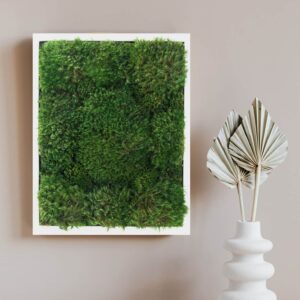 Live Mood Moss Wall Art in White, 11"x14"