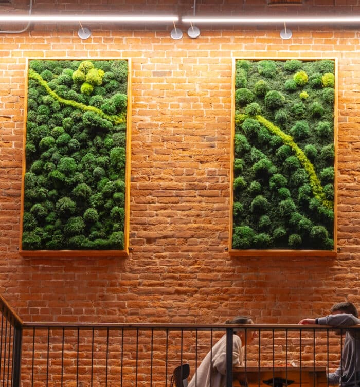 Moss Pure Moss Air Filter. Living moss wall art that improves air quality and provides therapeutic relief from stress and anxiety. Moss wall art in home.